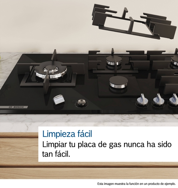 BOSCH PLACA PPP6A6I10