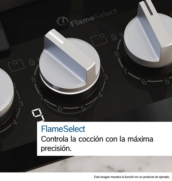 BOSCH PLACA PPP6A6I10