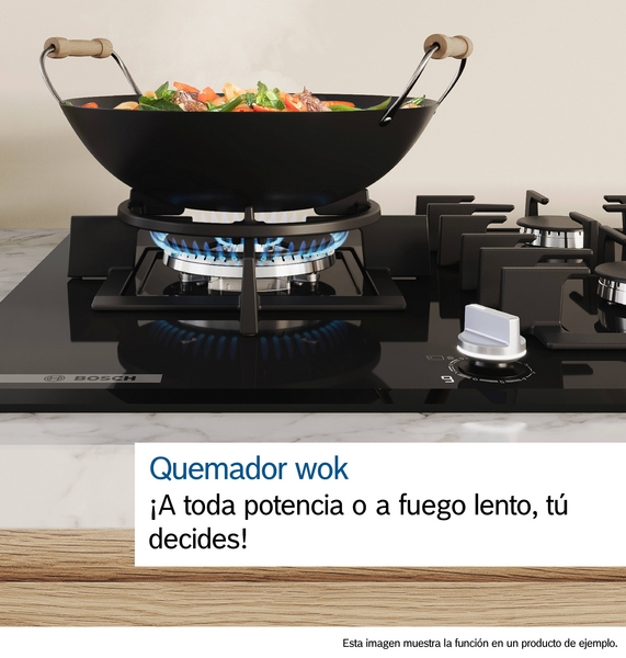 BOSCH PLACA PGH6B5K90