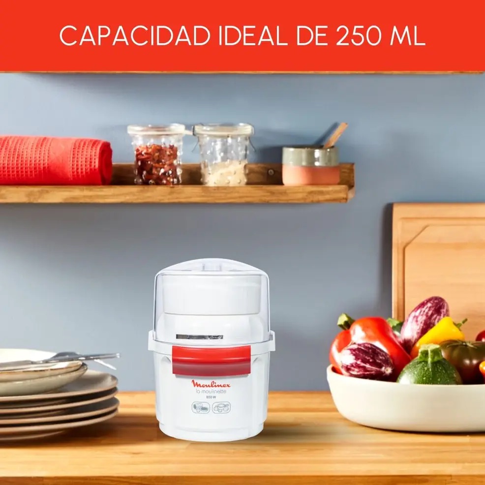 MOULINEX PICADORA AD560120
